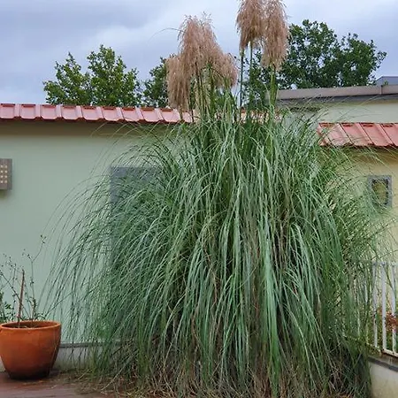 Arthotel Bréma