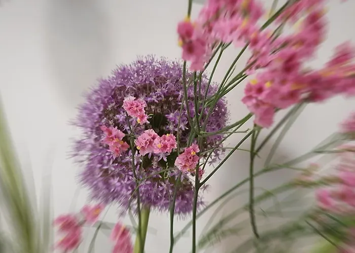 Готель Arthotel